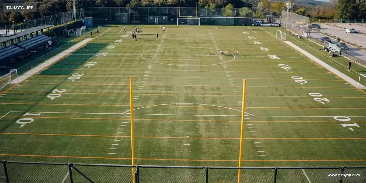 🎬 当游戏遇见影视，我们重新定义娱乐边界！🎥